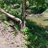 Review photo of Loud Thunder Forest Preserve by James M., June 18, 2022