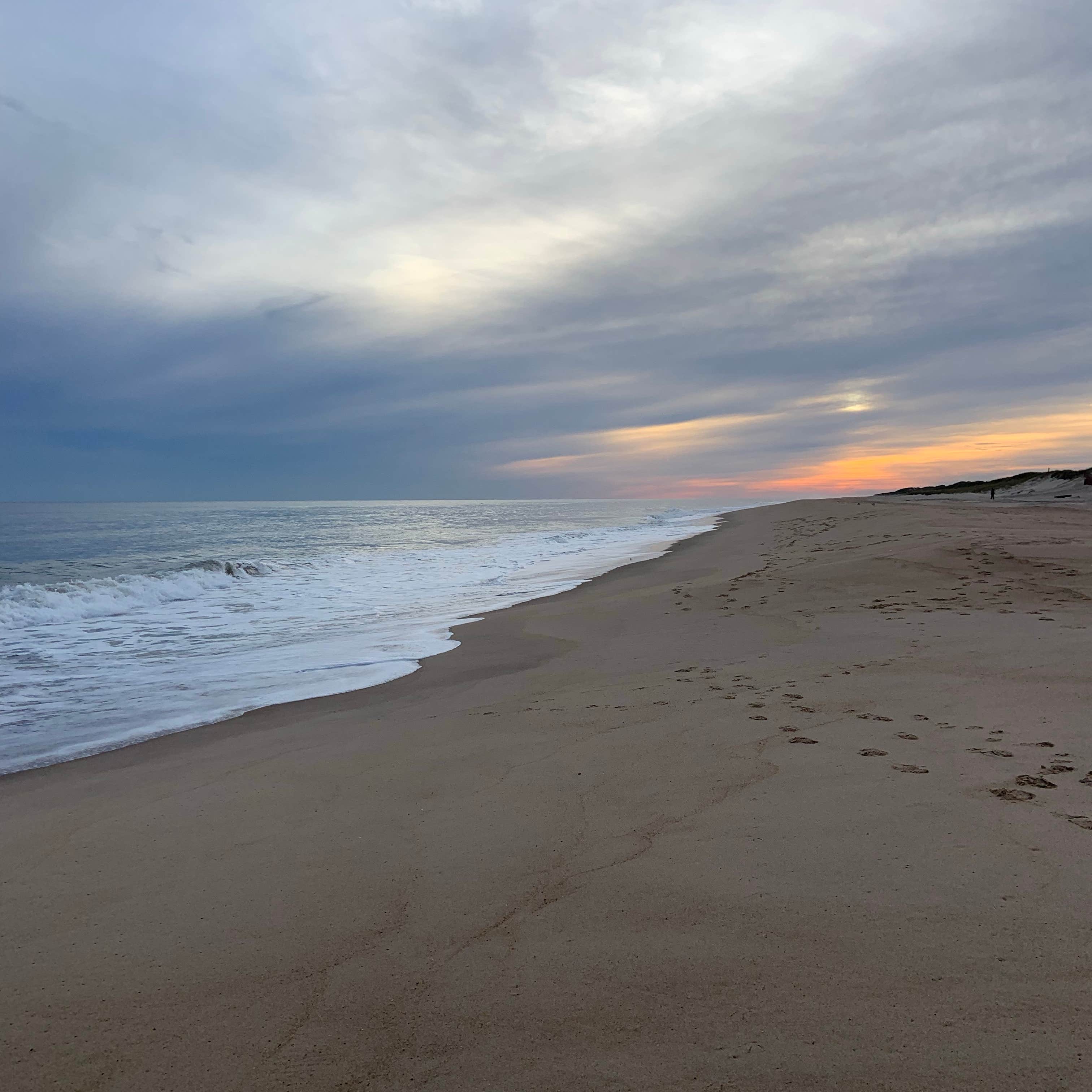 Escape to Paradise: Your Guide to Hither Hills State Park, NY