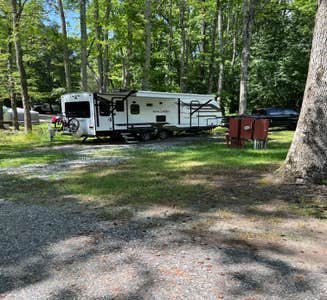 Camper-submitted photo from South Forty RV Resort & Campground