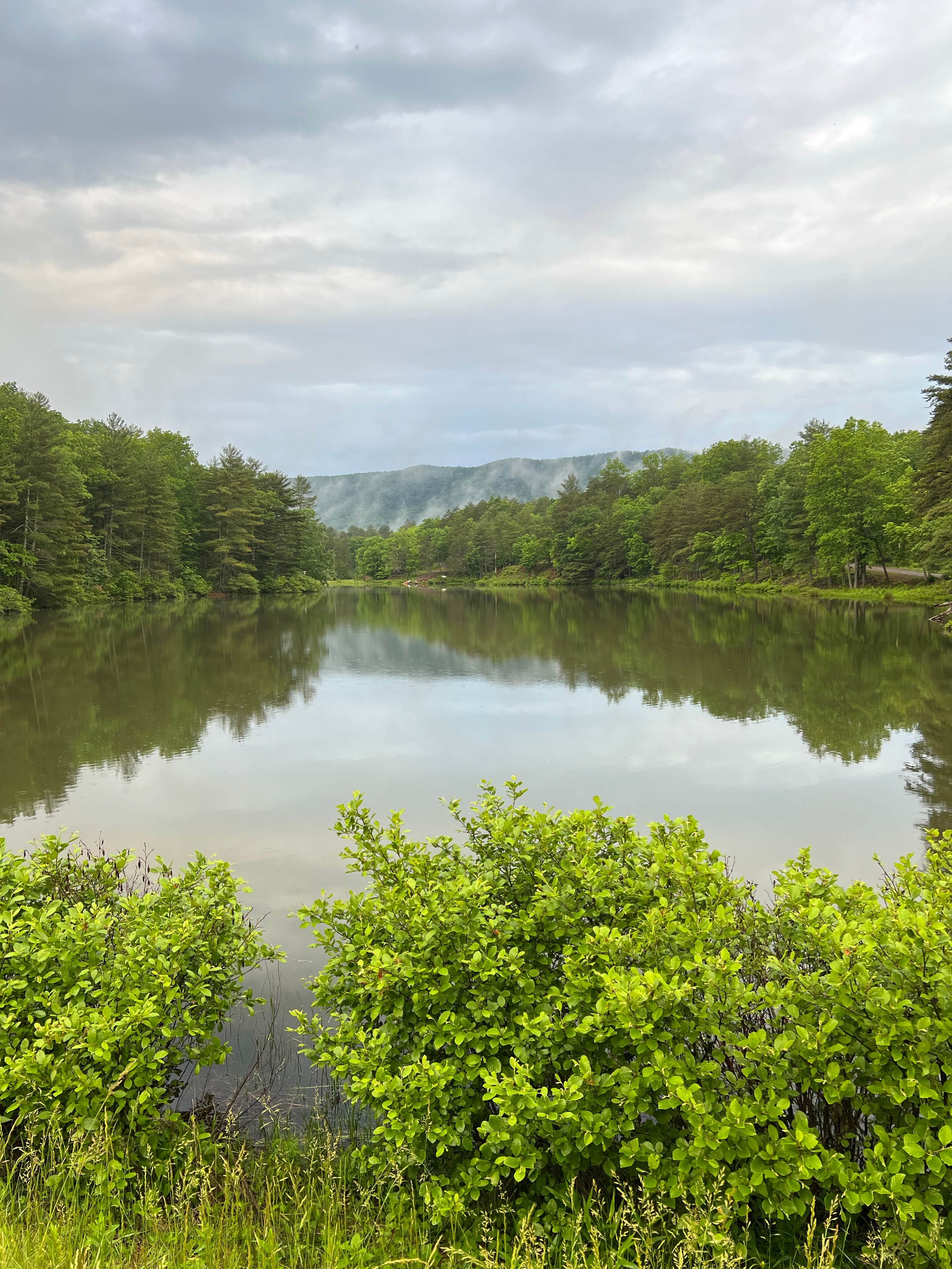 Camper submitted image from Cold Sulphur Spring Campground - 2