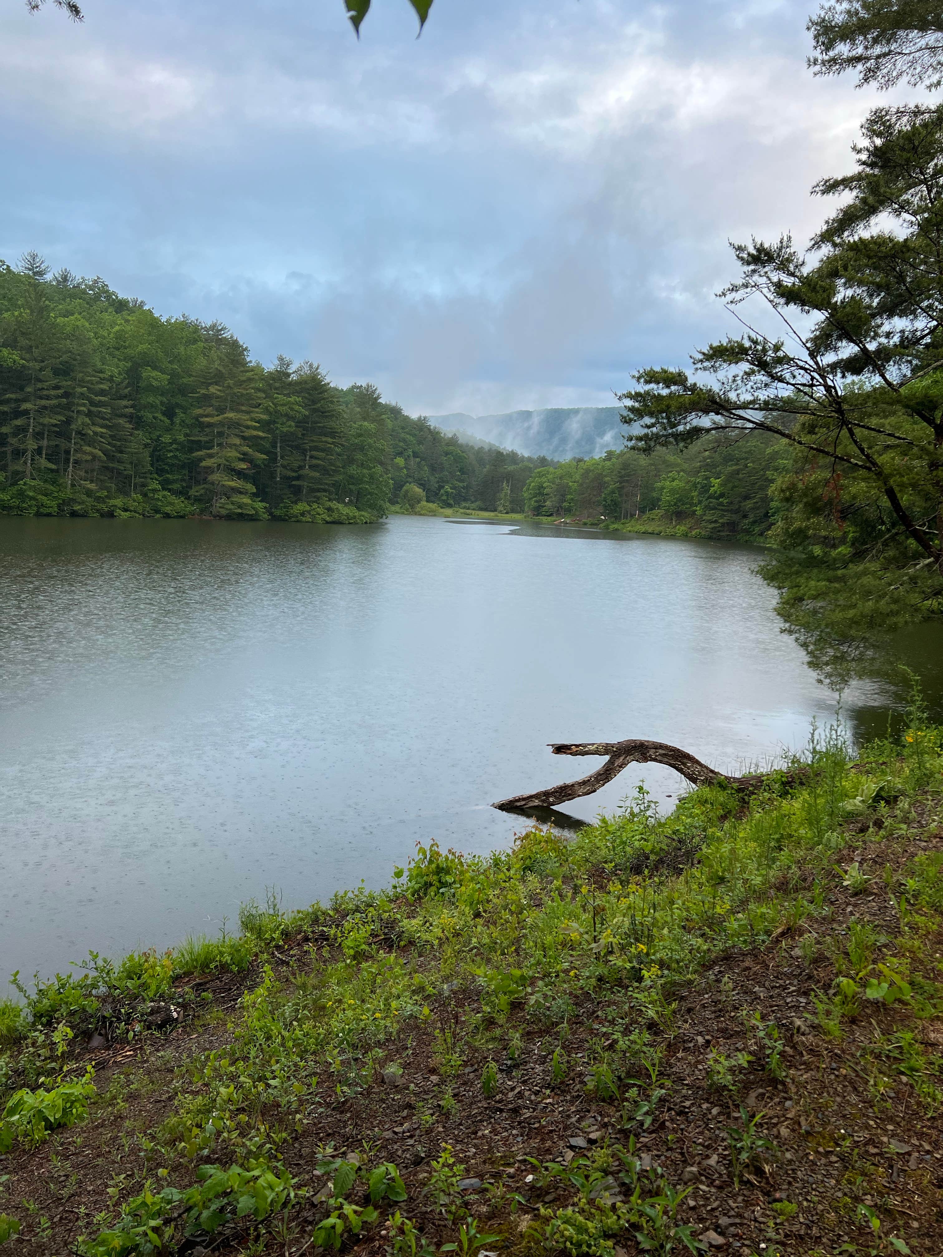 Camper submitted image from Cold Sulphur Spring Campground - 1