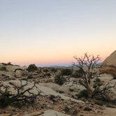 Review photo of Jumbo Rocks Campground — Joshua Tree National Park by Paige H., June 19, 2022