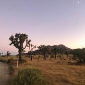 Review photo of Jumbo Rocks Campground — Joshua Tree National Park by Paige H., June 19, 2022