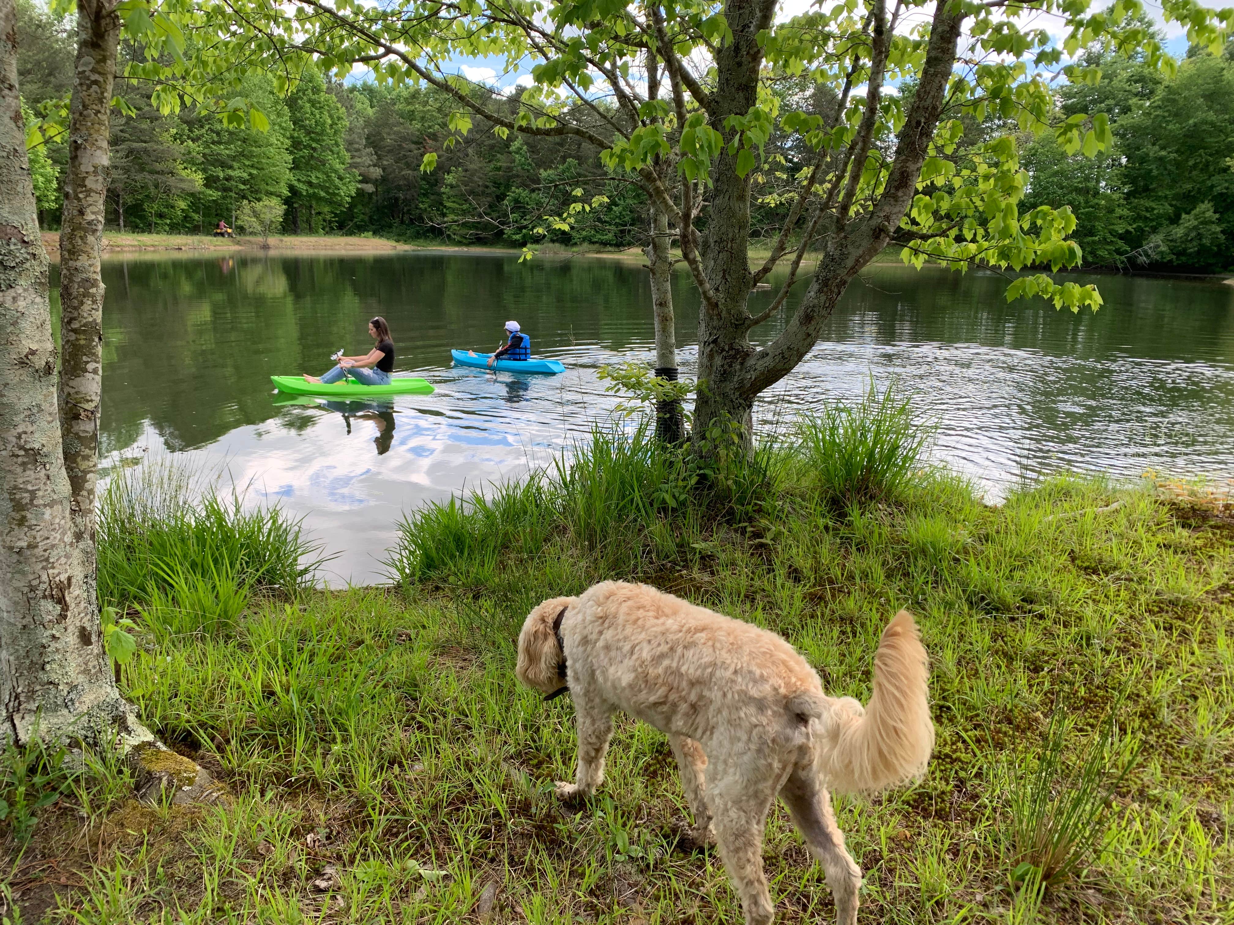 Camper-submitted photo at Woodybrooke Farm near Rising Fawn, GA