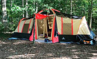 theresa E.'s photo at Woodybrooke Farm in Alabama