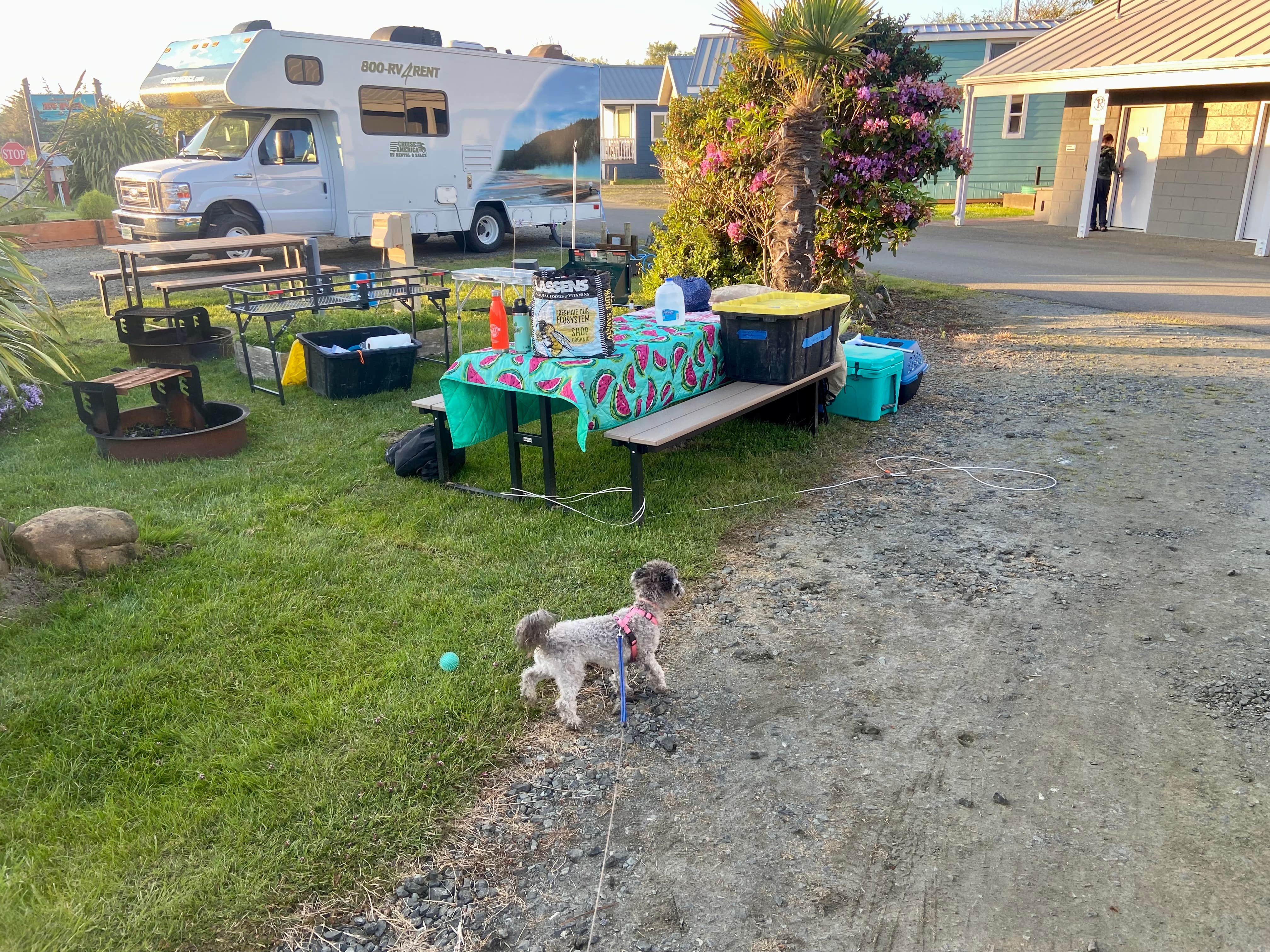 Camper-submitted photo at Sun Outdoors Coos Bay near Bandon, OR