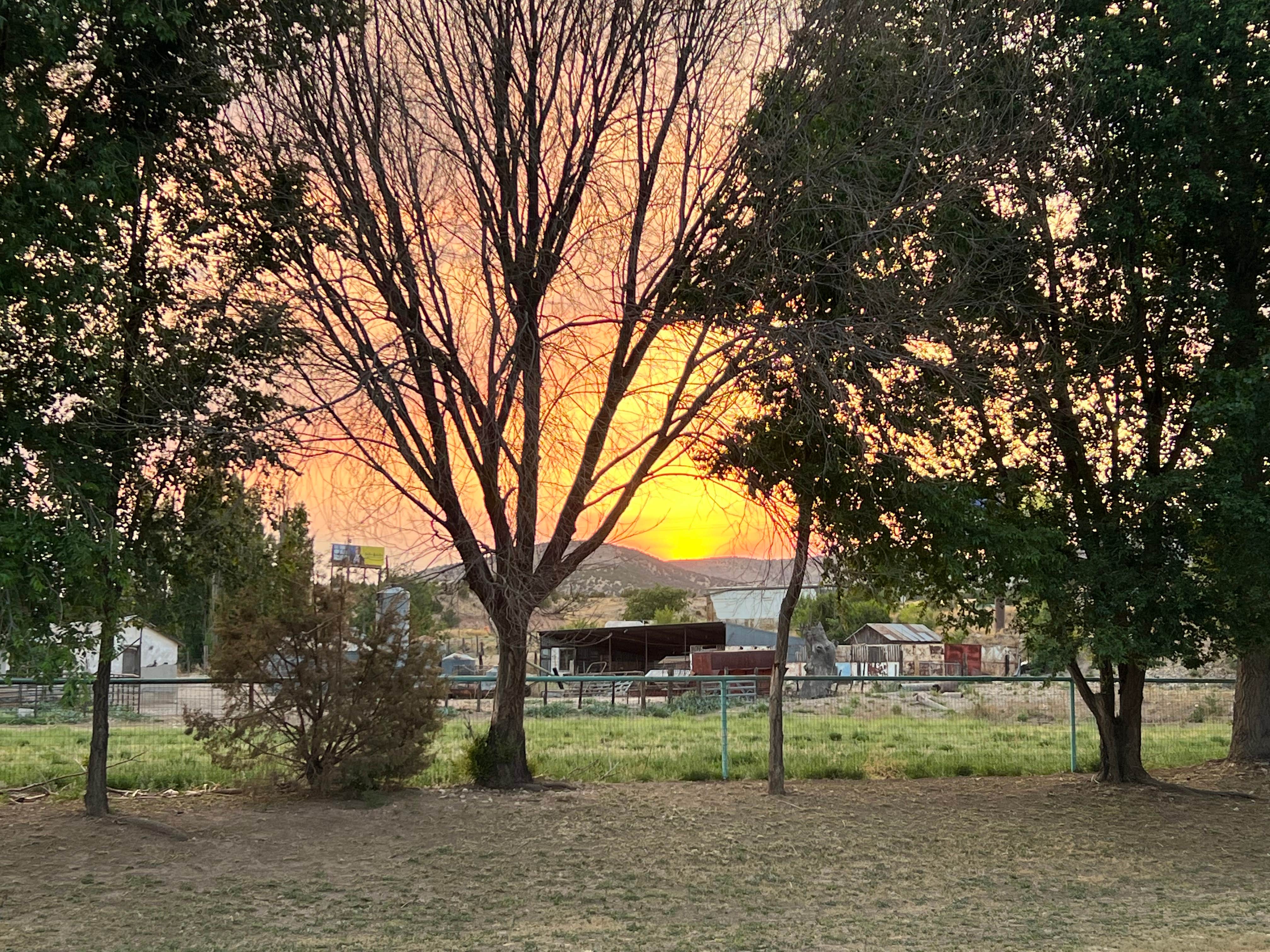 Camper-submitted photo at Moonflower Meadows RV Resort near Ruidoso, NM