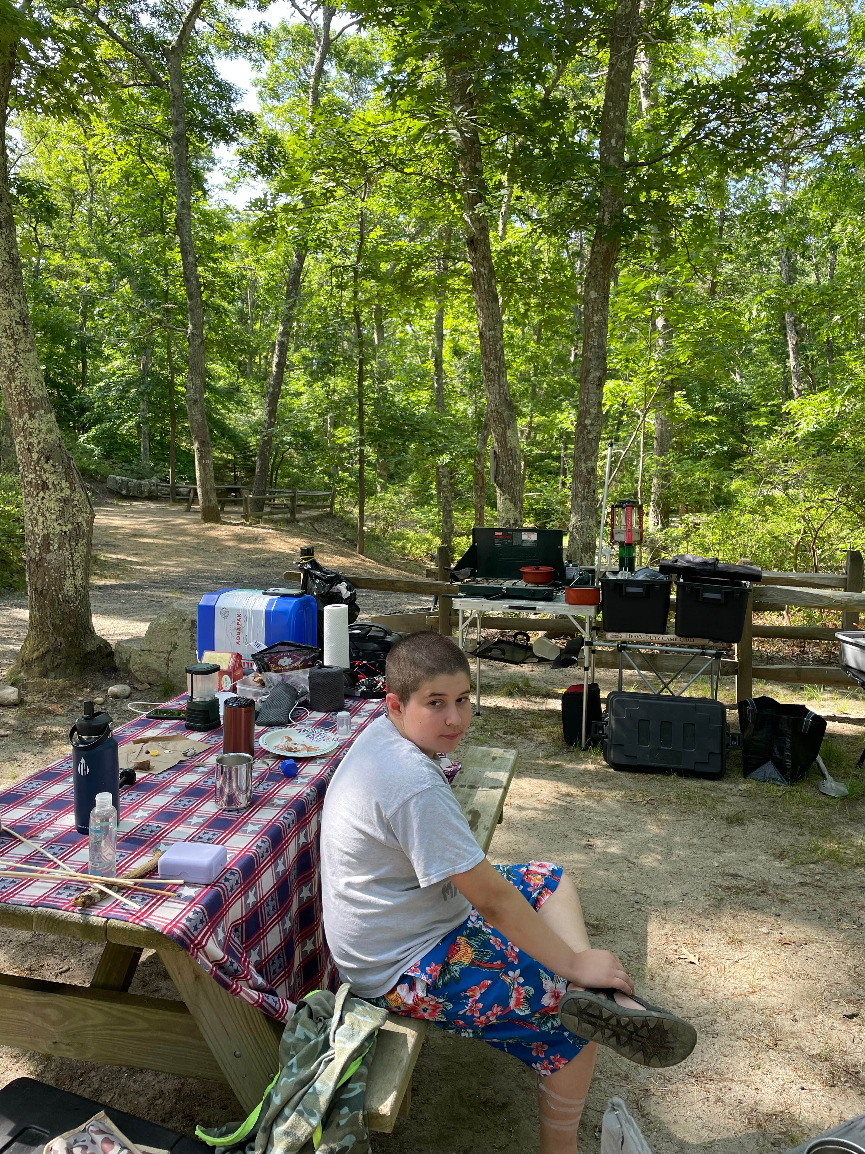 Domenico B.'s photo at Sweetwater Forest near Provincetown, MA