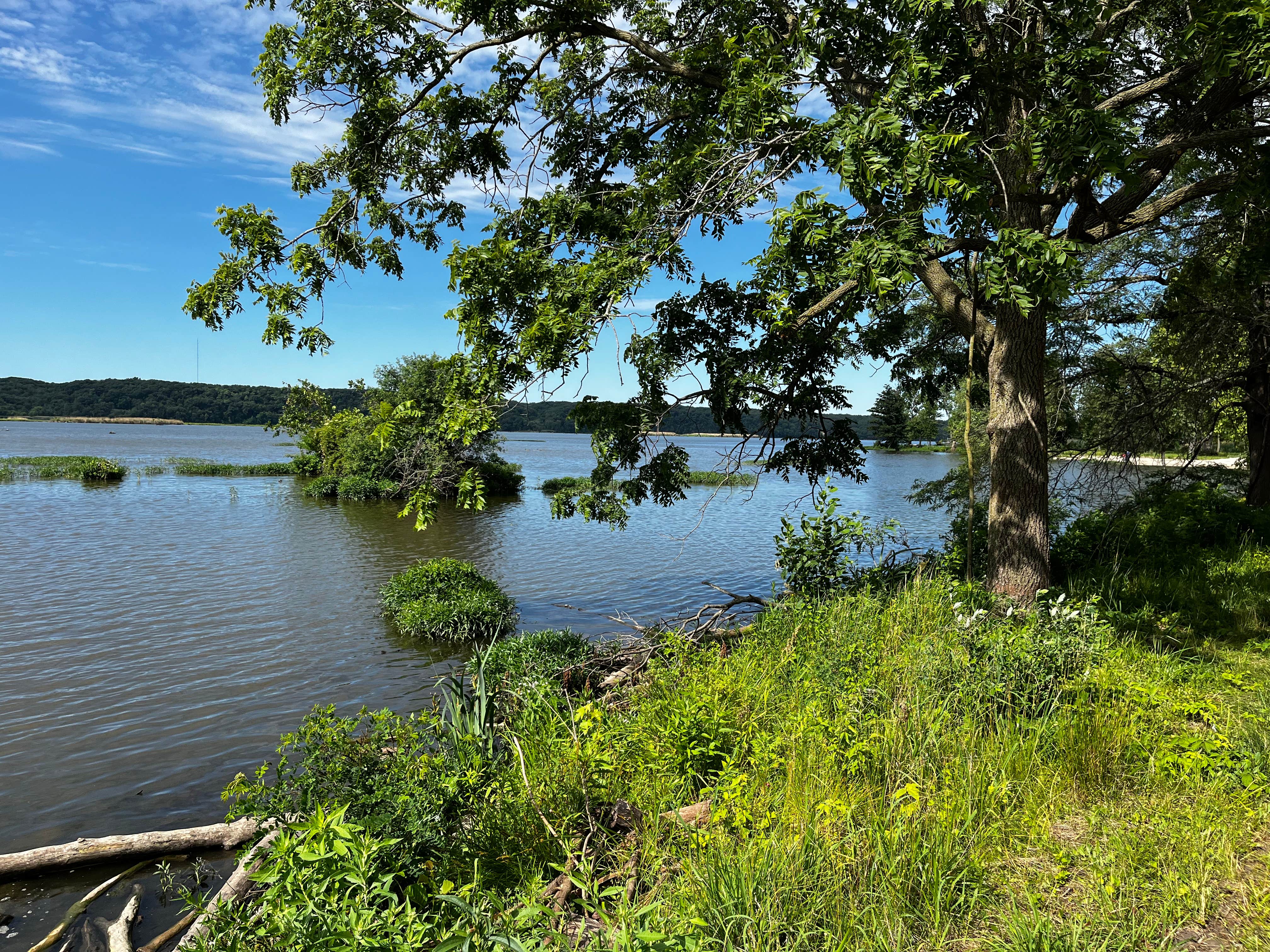 Camper submitted image from Kayak Starved Rock Campground - 4