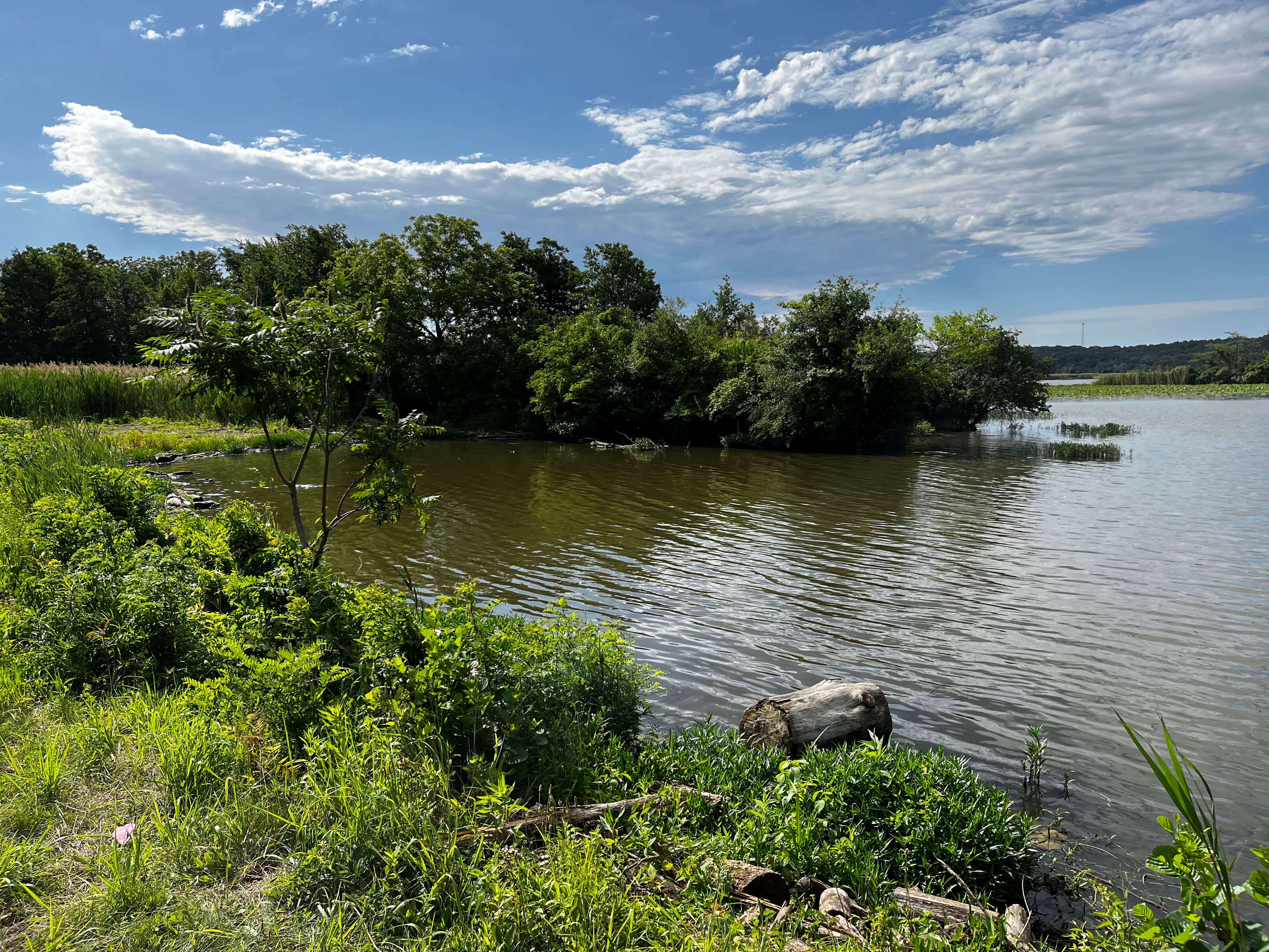 Camper submitted image from Kayak Starved Rock Campground - 2