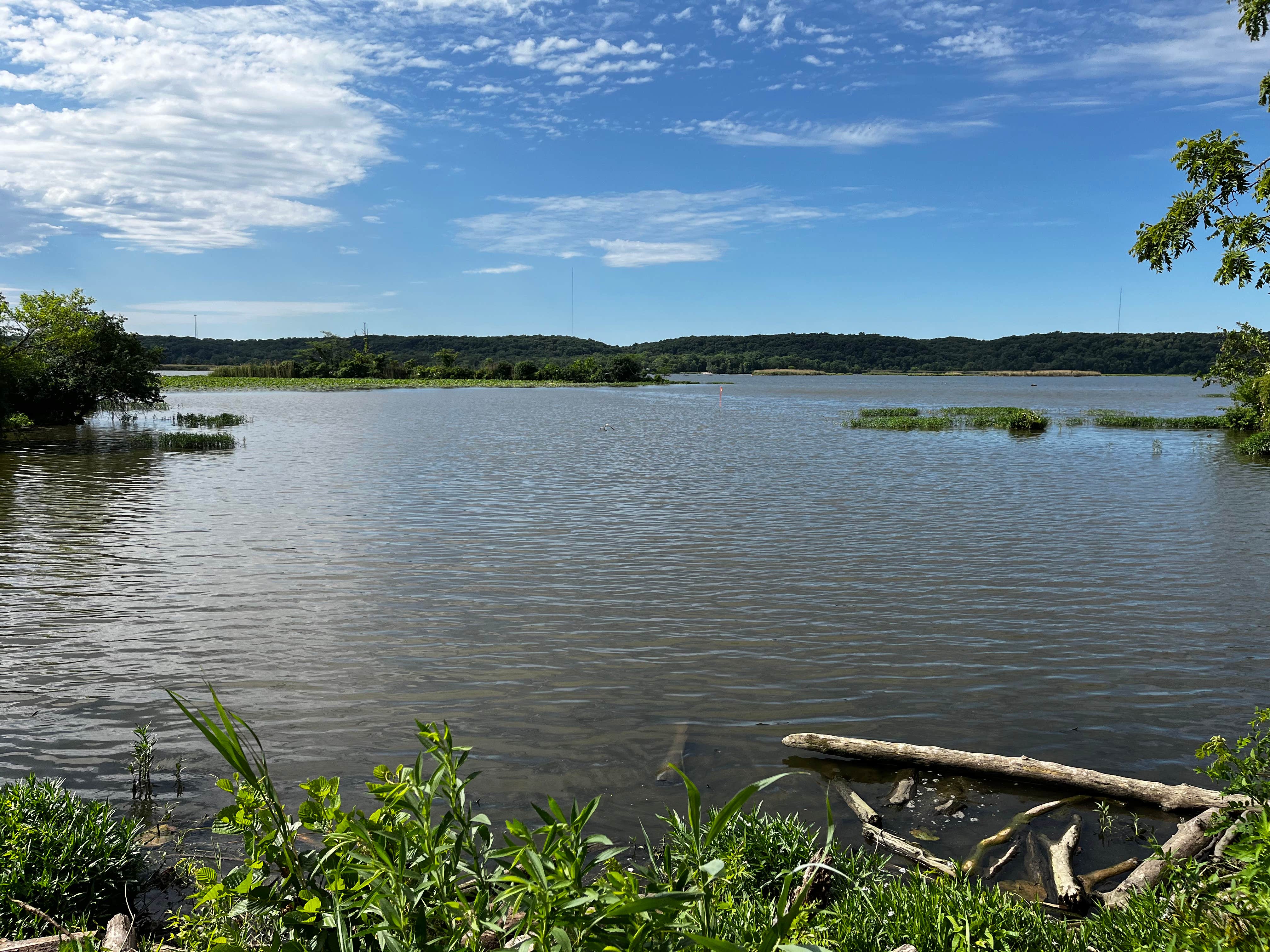 Camper submitted image from Kayak Starved Rock Campground - 3