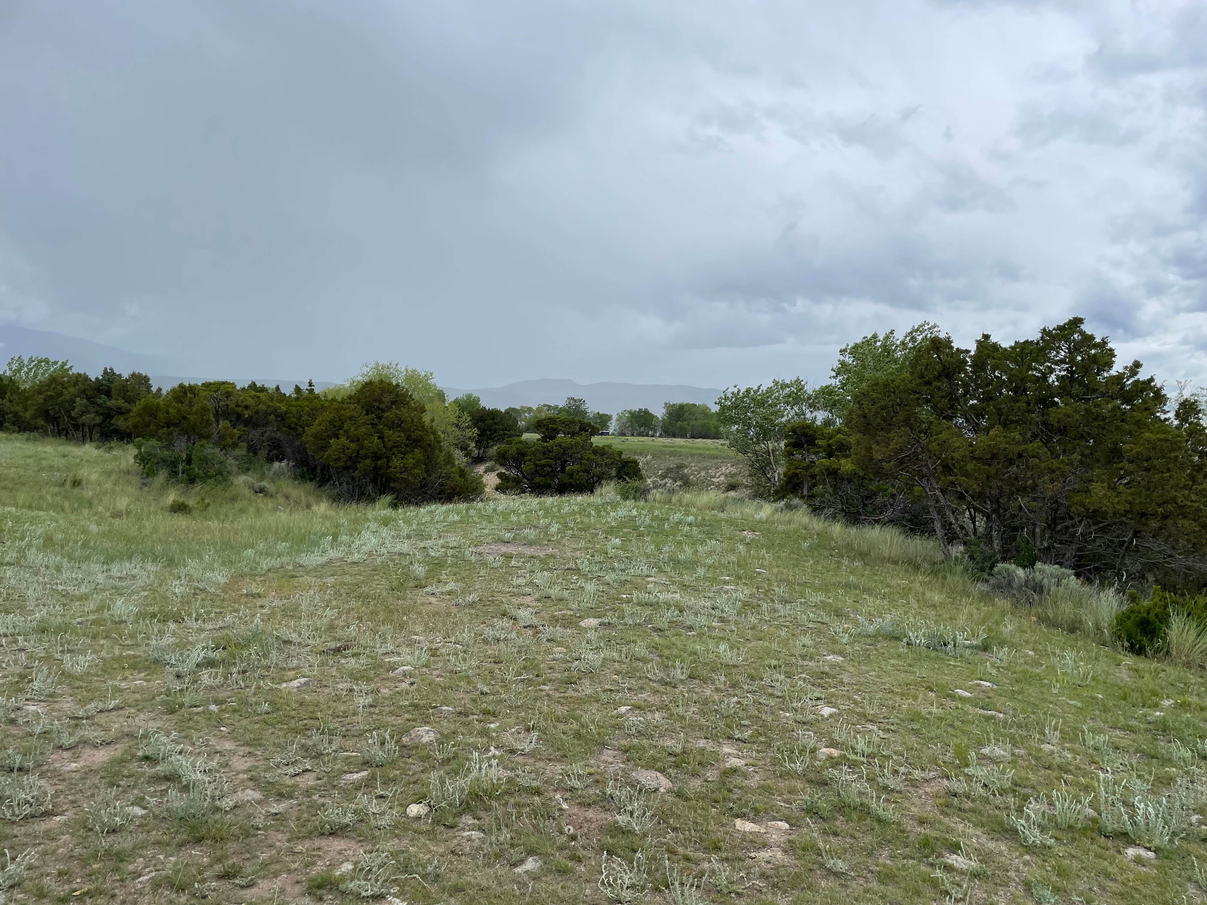 Camper-submitted photo at Goose Bay - Dispersed Camping near Helena National Forest