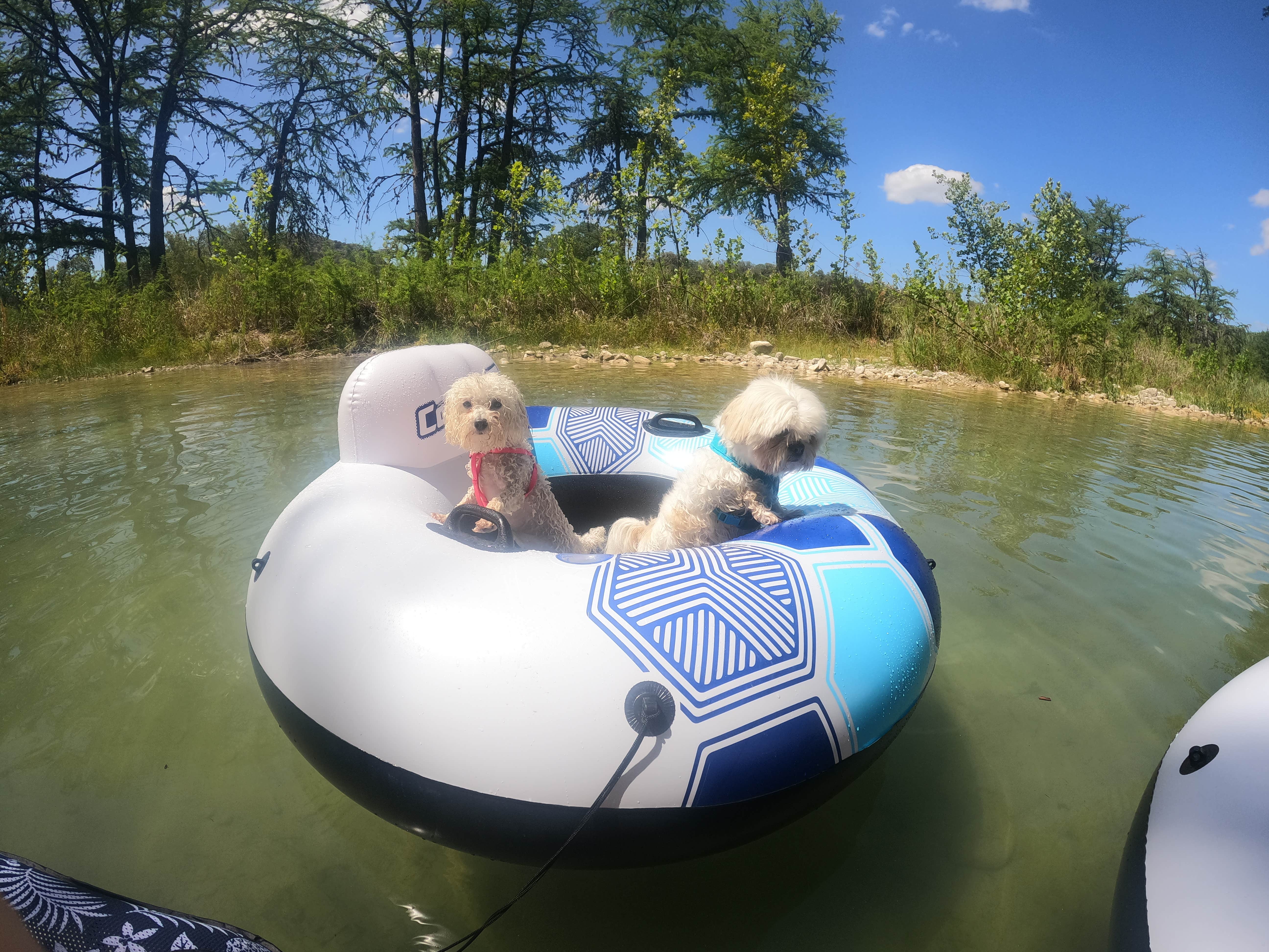 Camper submitted image from Camp Riverview - 3