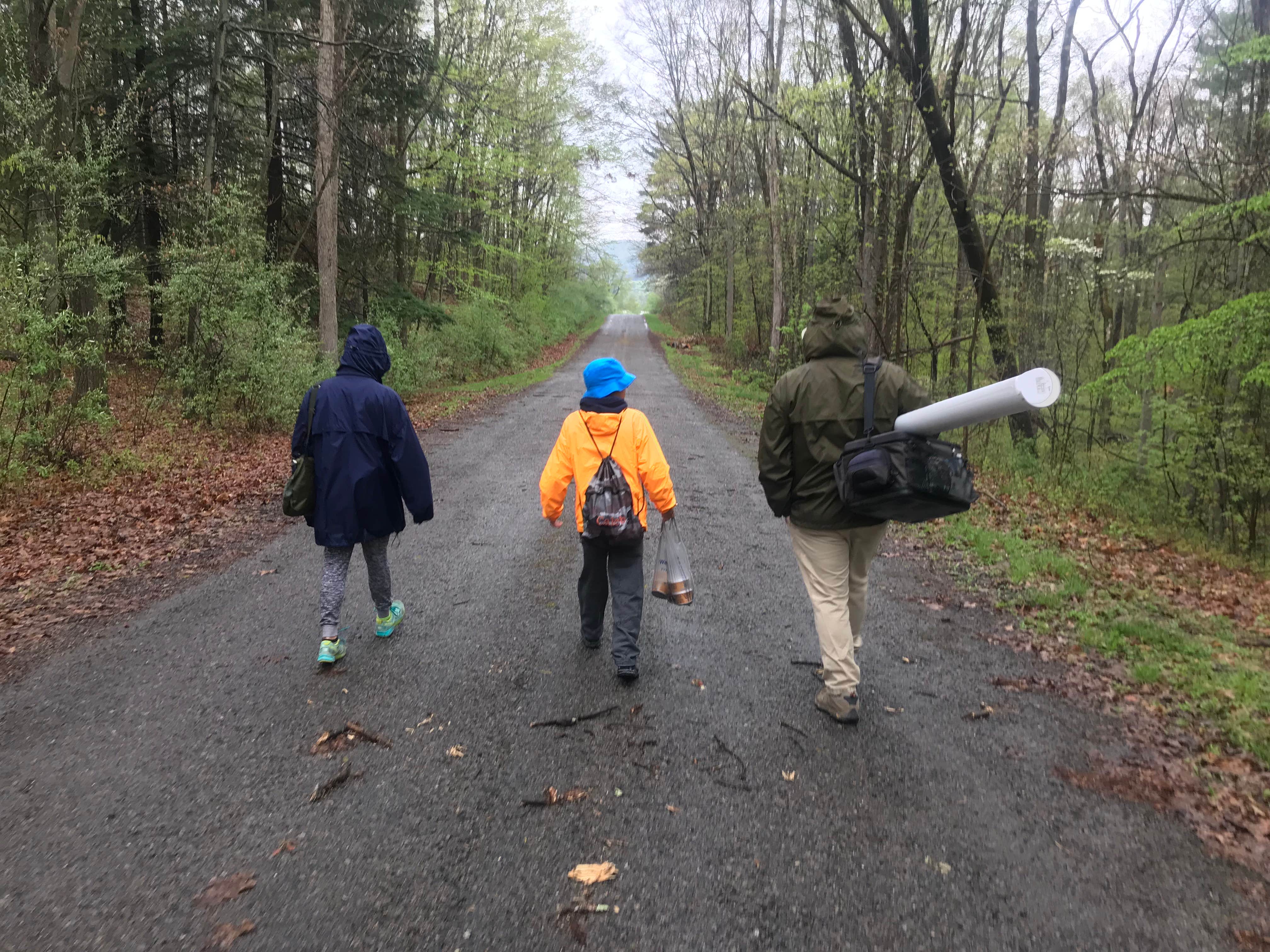 Camper submitted image from Primitive Camping Area — Bald Eagle State Park - 1