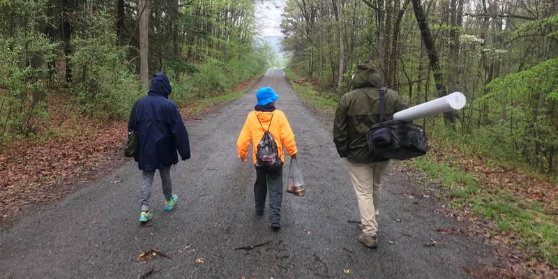 Camper submitted image from Primitive Camping Area — Bald Eagle State Park