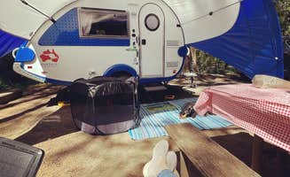 Alice V.'s photo at Beverly Beach State Park Campground near Seal Rock, OR