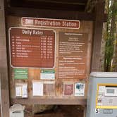 Review photo of Silver Falls State Park Campground by Alice V., June 19, 2022