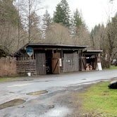 Review photo of Silver Falls State Park Campground by Alice V., June 19, 2022