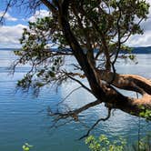 Review photo of Camano Island State Park Campground by K. K., June 19, 2022