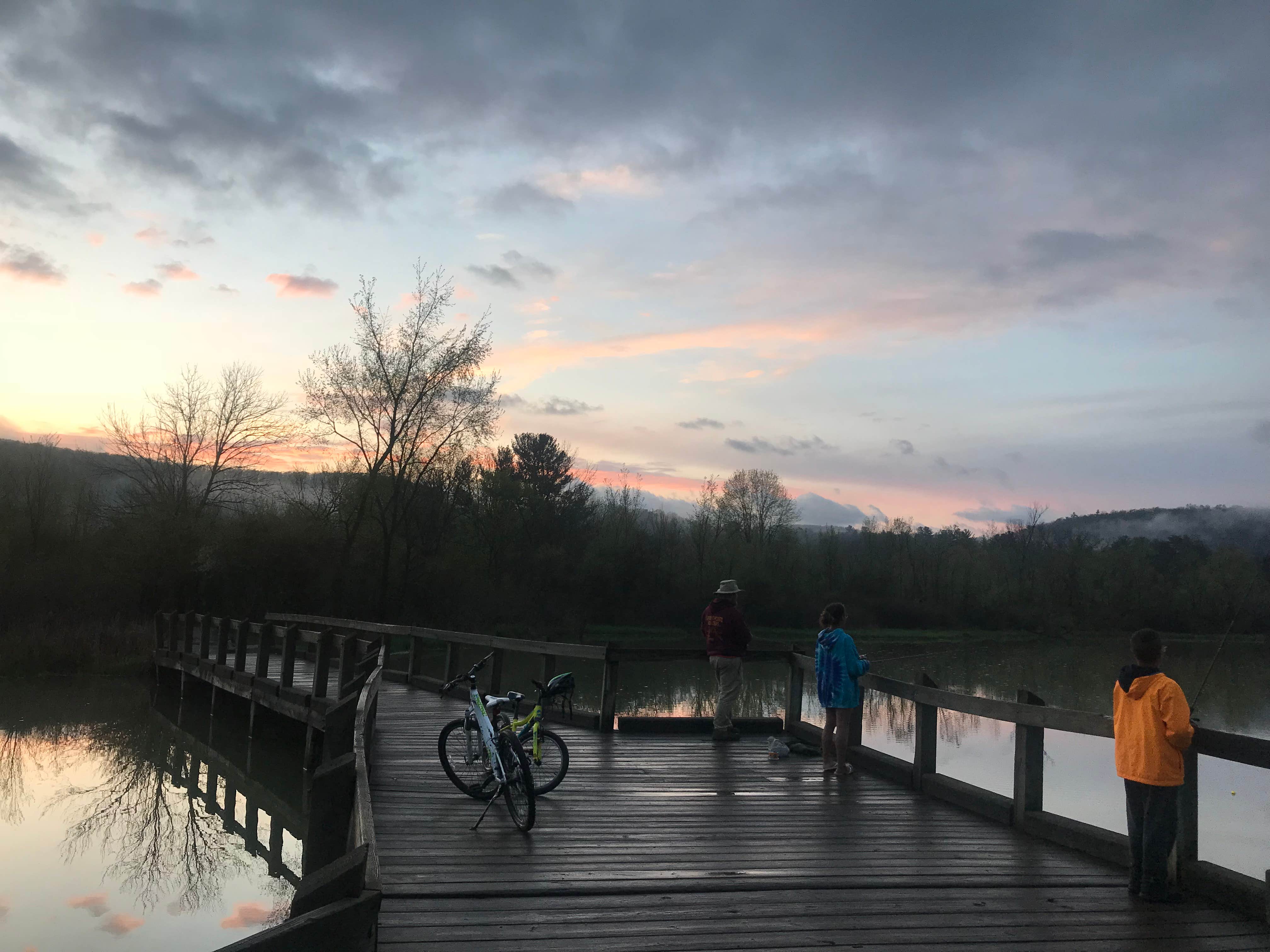 Camper submitted image from Primitive Camping Area — Bald Eagle State Park - 2