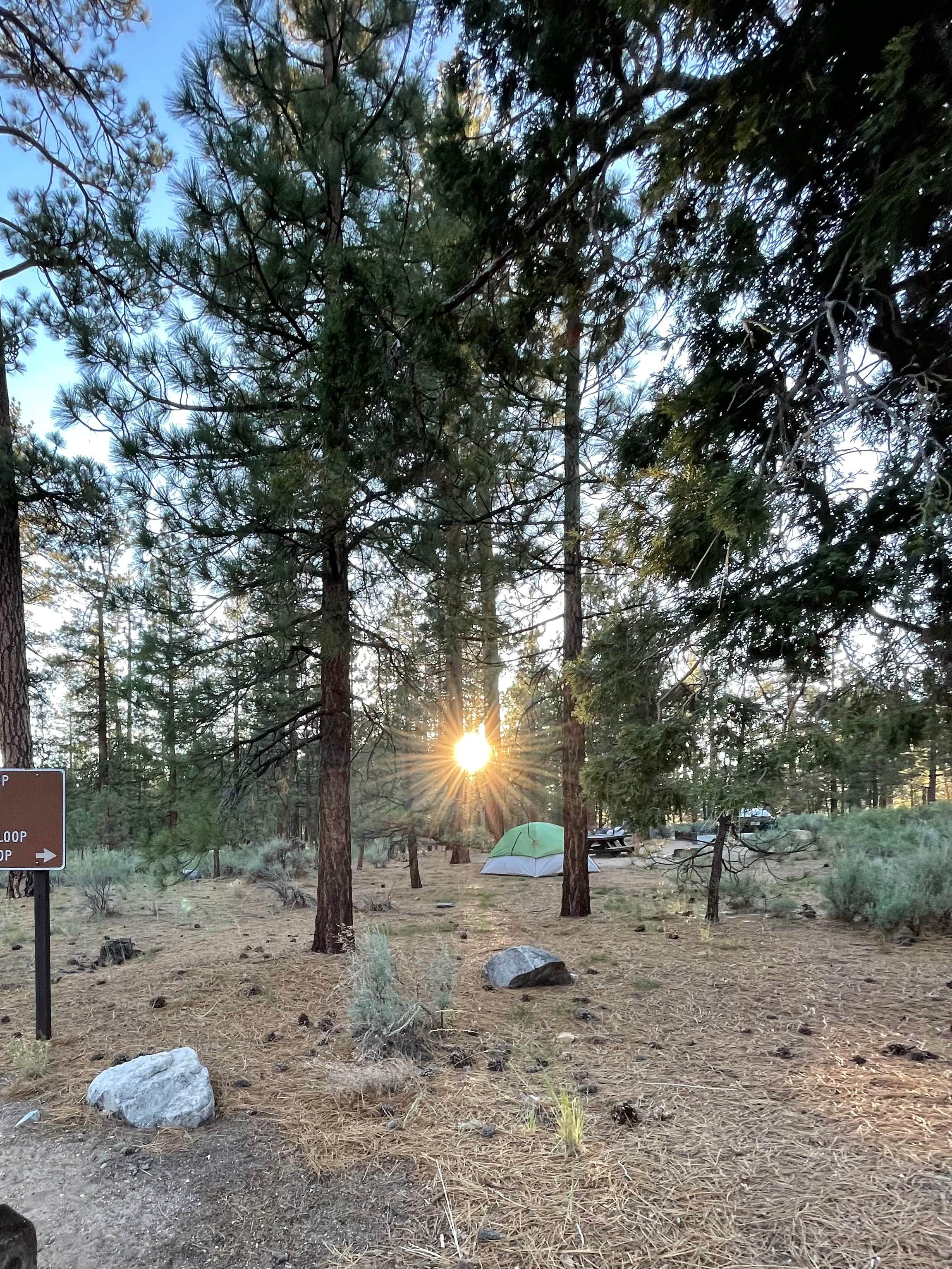 Jon F.'s photo at Heart Bar Campground near Big Bear City, CA