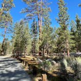 Review photo of Heart Bar Campground by Jon F., June 19, 2022