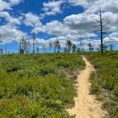 Review photo of Fearing Pond Campground — Myles Standish State Forest by Tori H., June 19, 2022