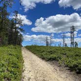 Review photo of Fearing Pond Campground — Myles Standish State Forest by Tori H., June 19, 2022