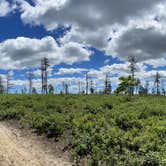 Review photo of Fearing Pond Campground — Myles Standish State Forest by Tori H., June 19, 2022