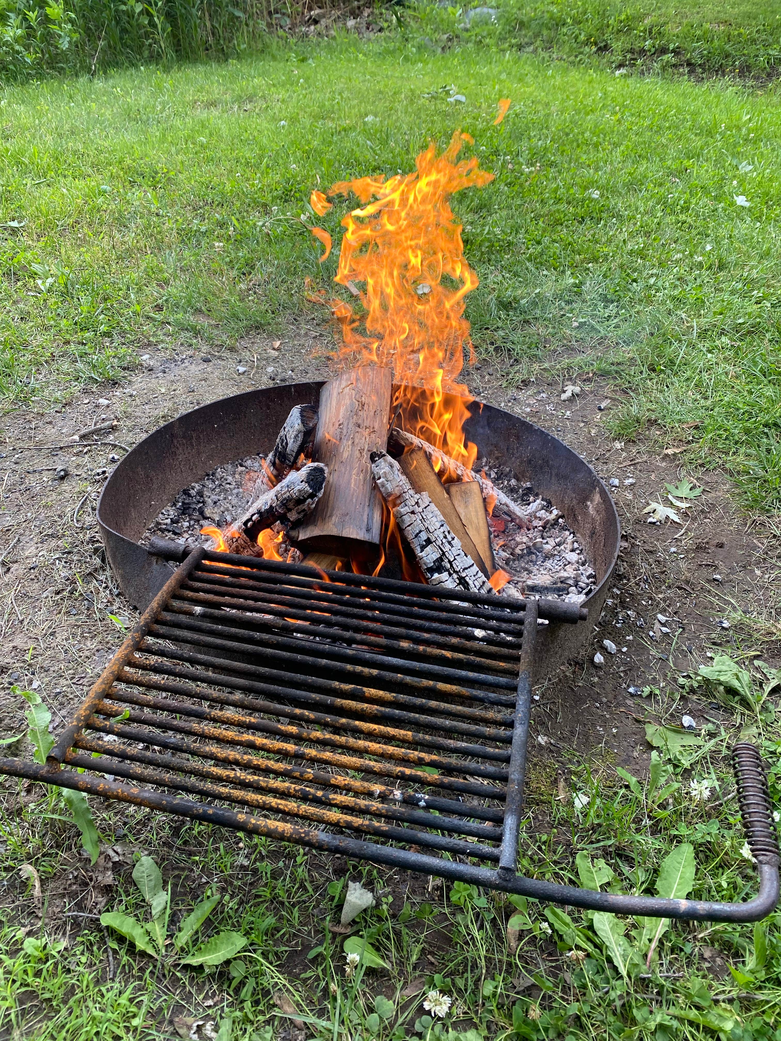 Camper submitted image from Oneida Shores County Park - 1