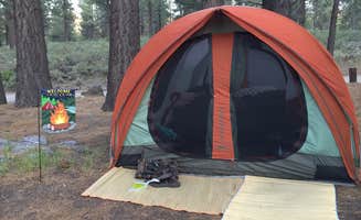 Ashley C.'s photo at Sherwin Creek near Inyo National Forest