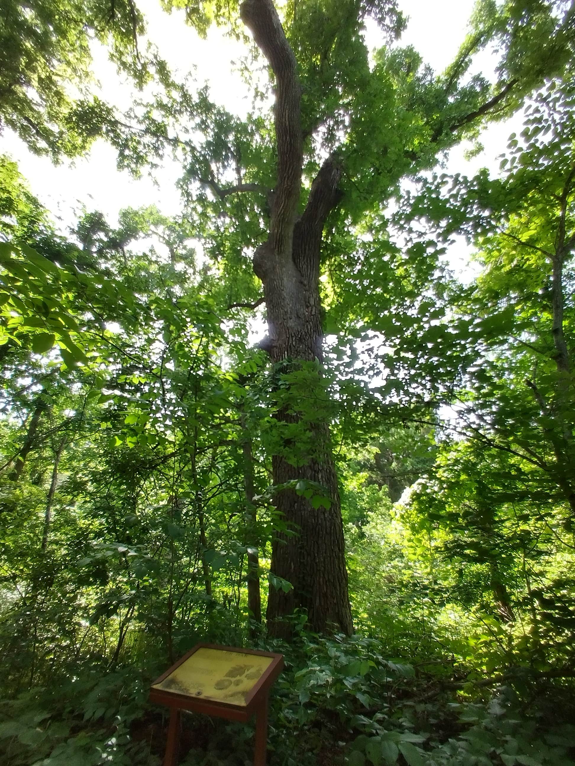 Alex M.'s photo at Red Rock Canyon Adventure Park in Oklahoma