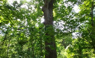 Alex M.'s photo at Red Rock Canyon Adventure Park in Oklahoma