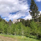 Review photo of Bear Creek Dispersed Campground by Nikki A., June 19, 2022