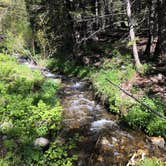 Review photo of Bear Creek Dispersed Campground by Nikki A., June 19, 2022