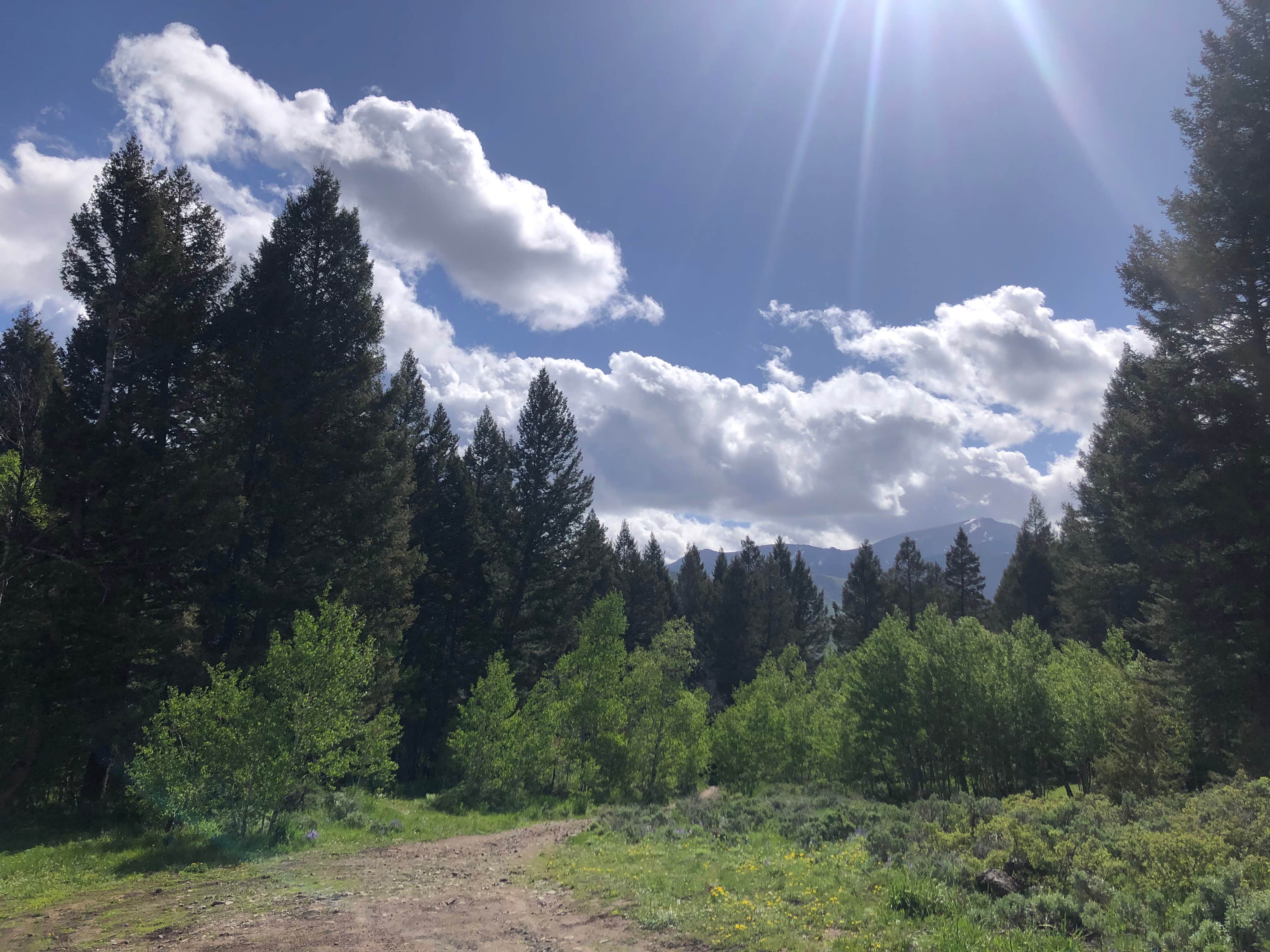 Camper-submitted photo at Bear Creek Dispersed Campground near Howe, ID