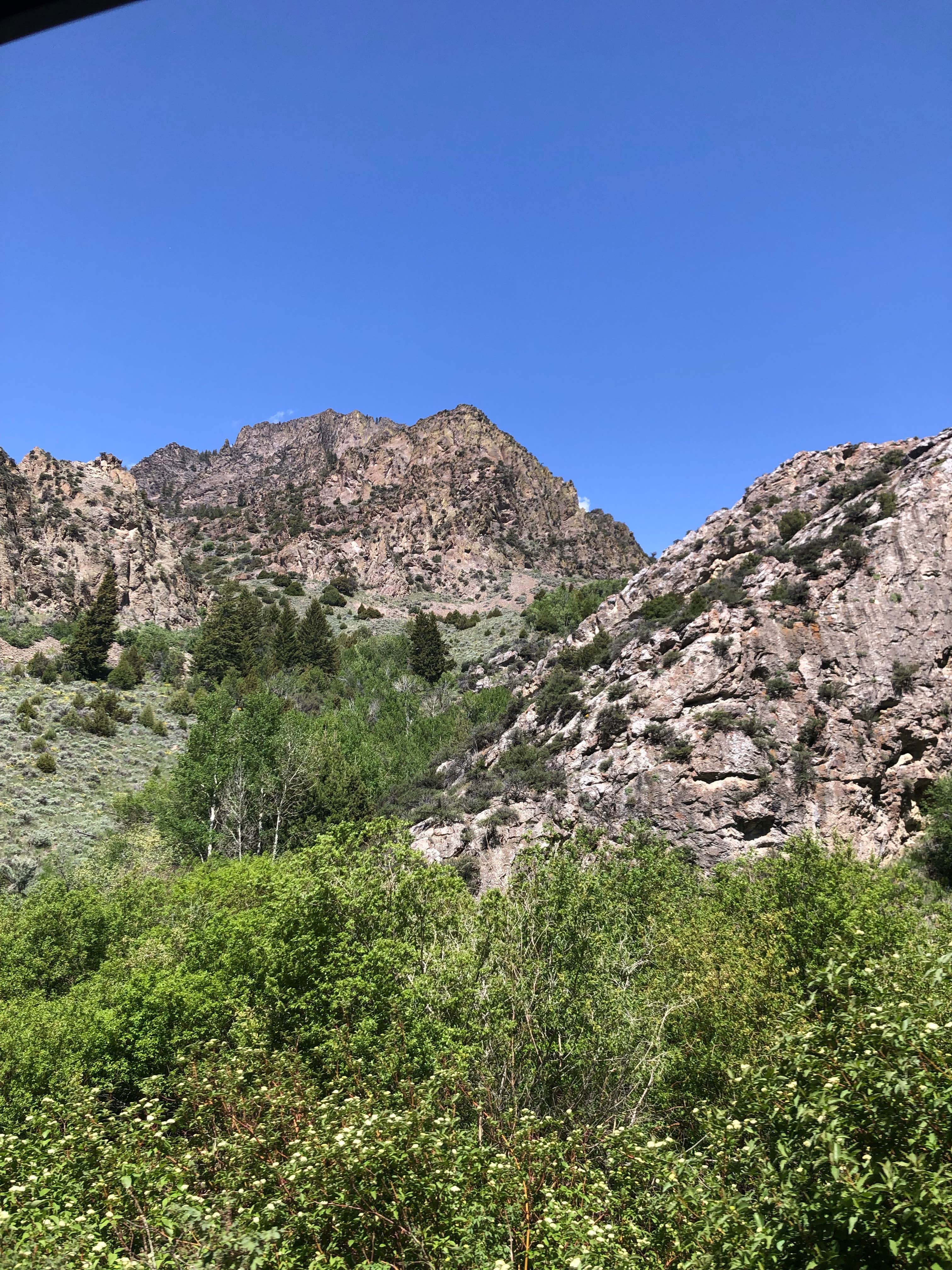 Camper-submitted photo at Bear Creek Dispersed Campground near Howe, ID
