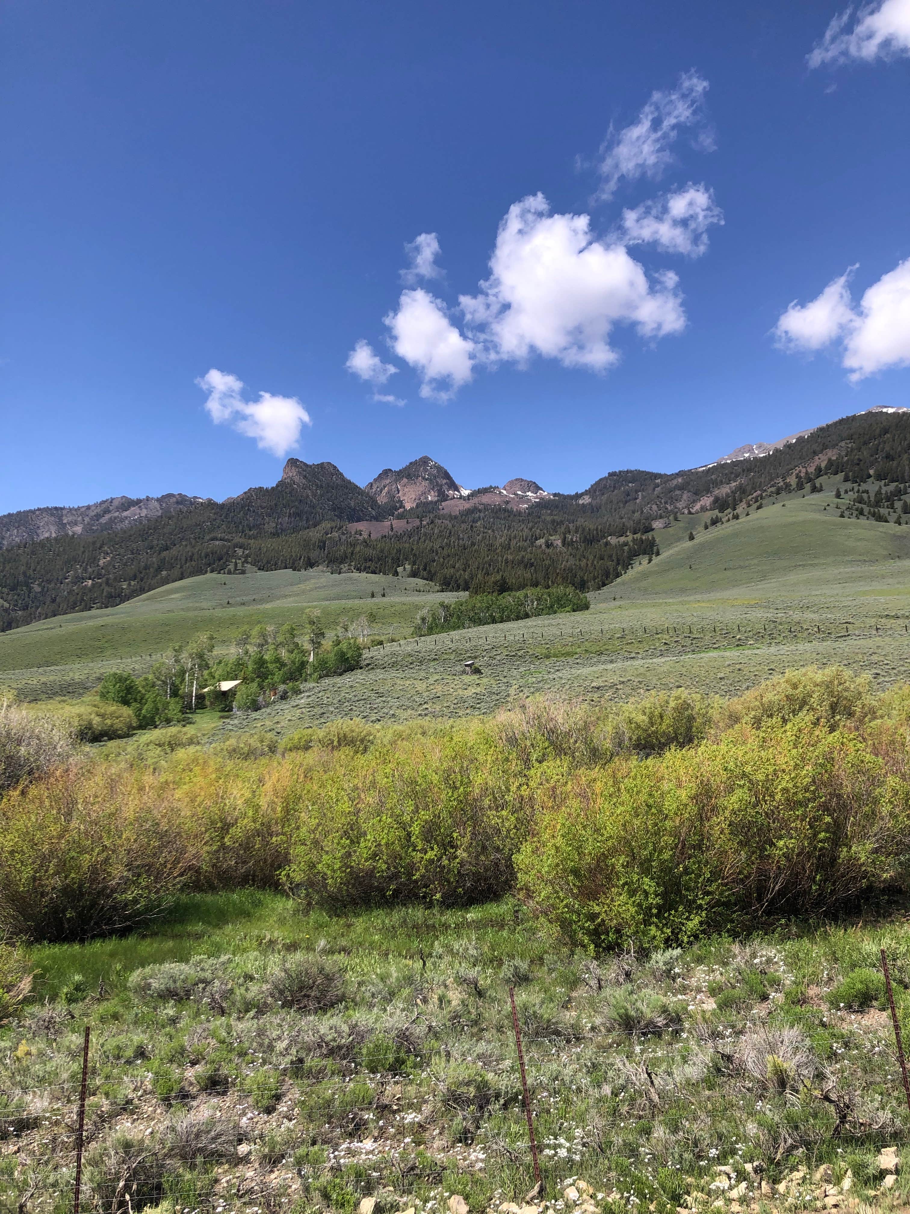 Camper-submitted photo at Bear Creek Dispersed Campground near Howe, ID