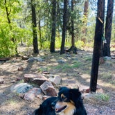 Review photo of Rim Campground by Jordan H., June 14, 2022