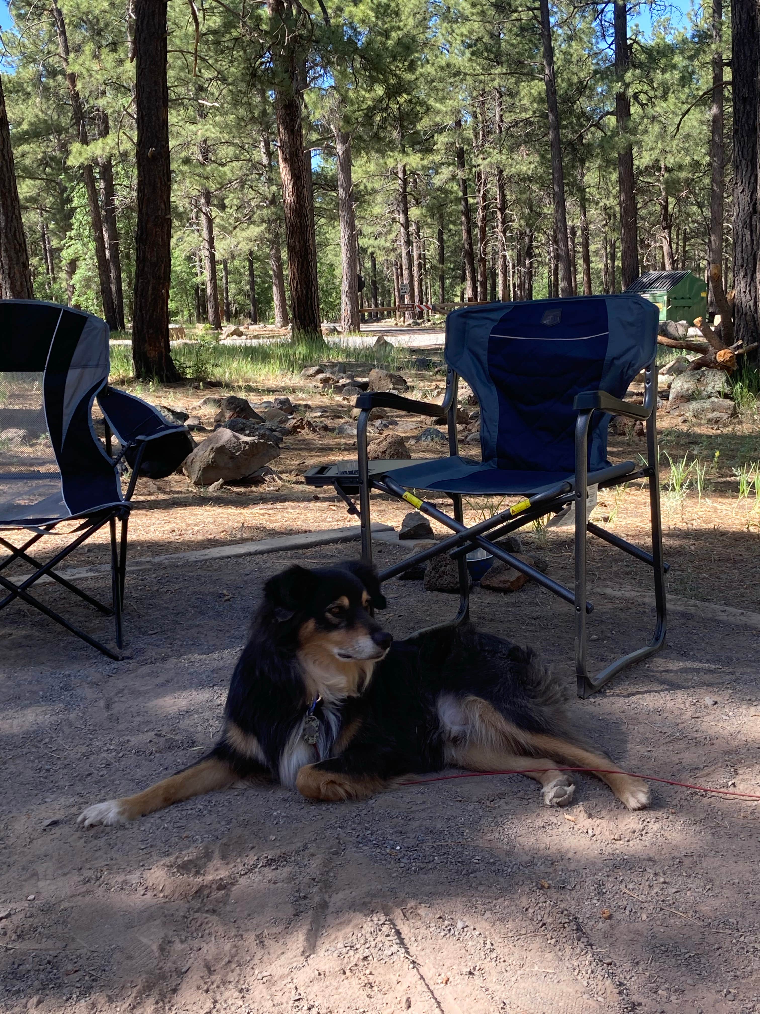 Jordan H.'s photo at Dogtown Lake Campground And Group near Parks, AZ