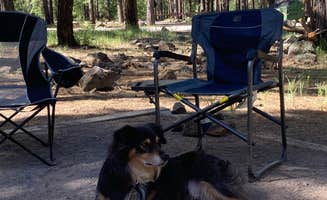 Jordan H.'s photo at Dogtown Lake Campground And Group near Williams, AZ