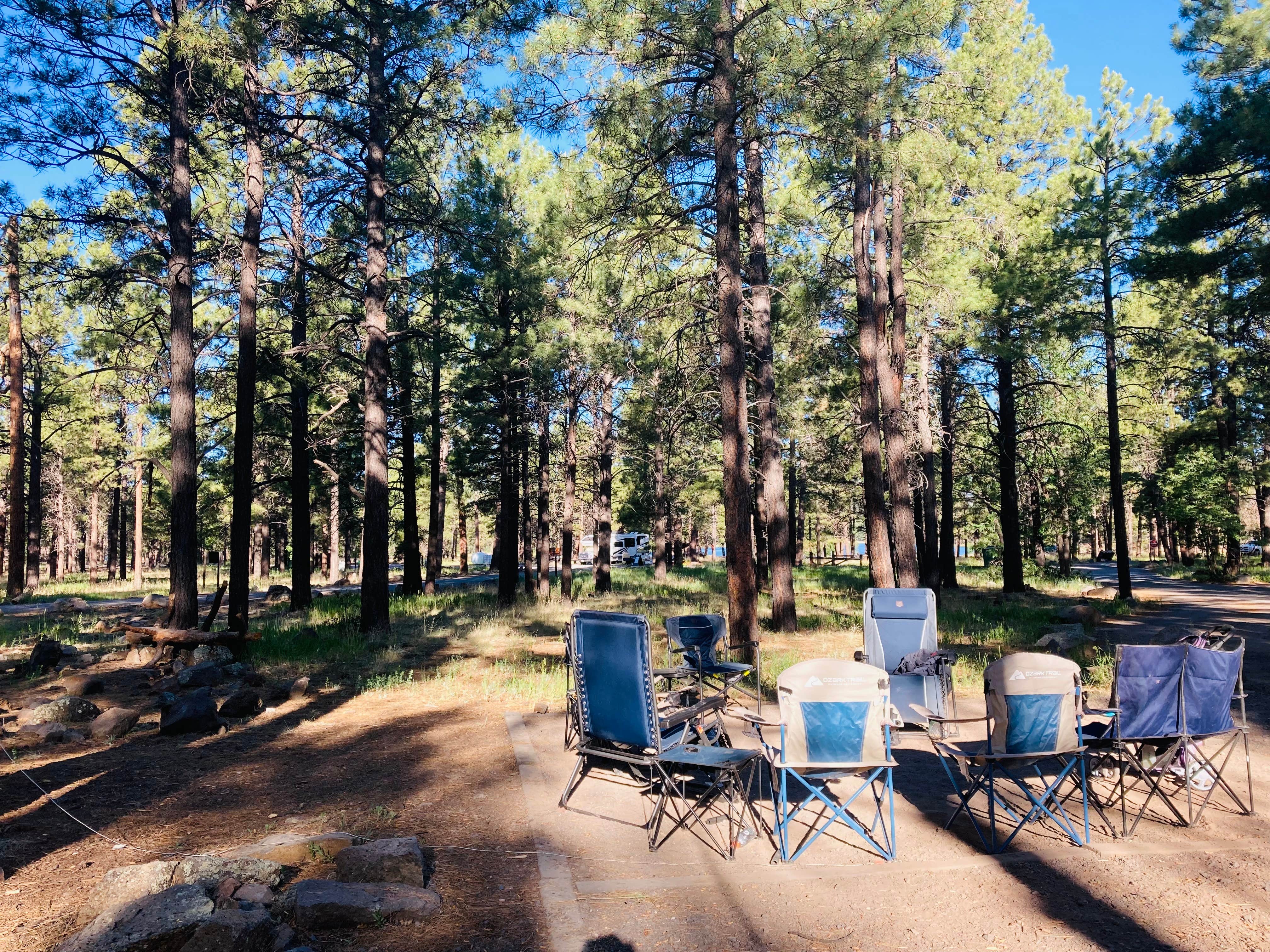 Jordan H.'s photo at Dogtown Lake Campground And Group near Williams, AZ