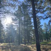 Review photo of Dogtown Lake Campground And Group by Jordan H., June 19, 2022