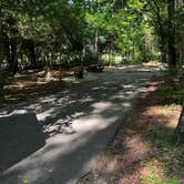 Review photo of Double Lake NF Campground by Matthew B., June 19, 2022