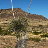 Review photo of City of Rocks State Park by Thomas E. T., June 19, 2022