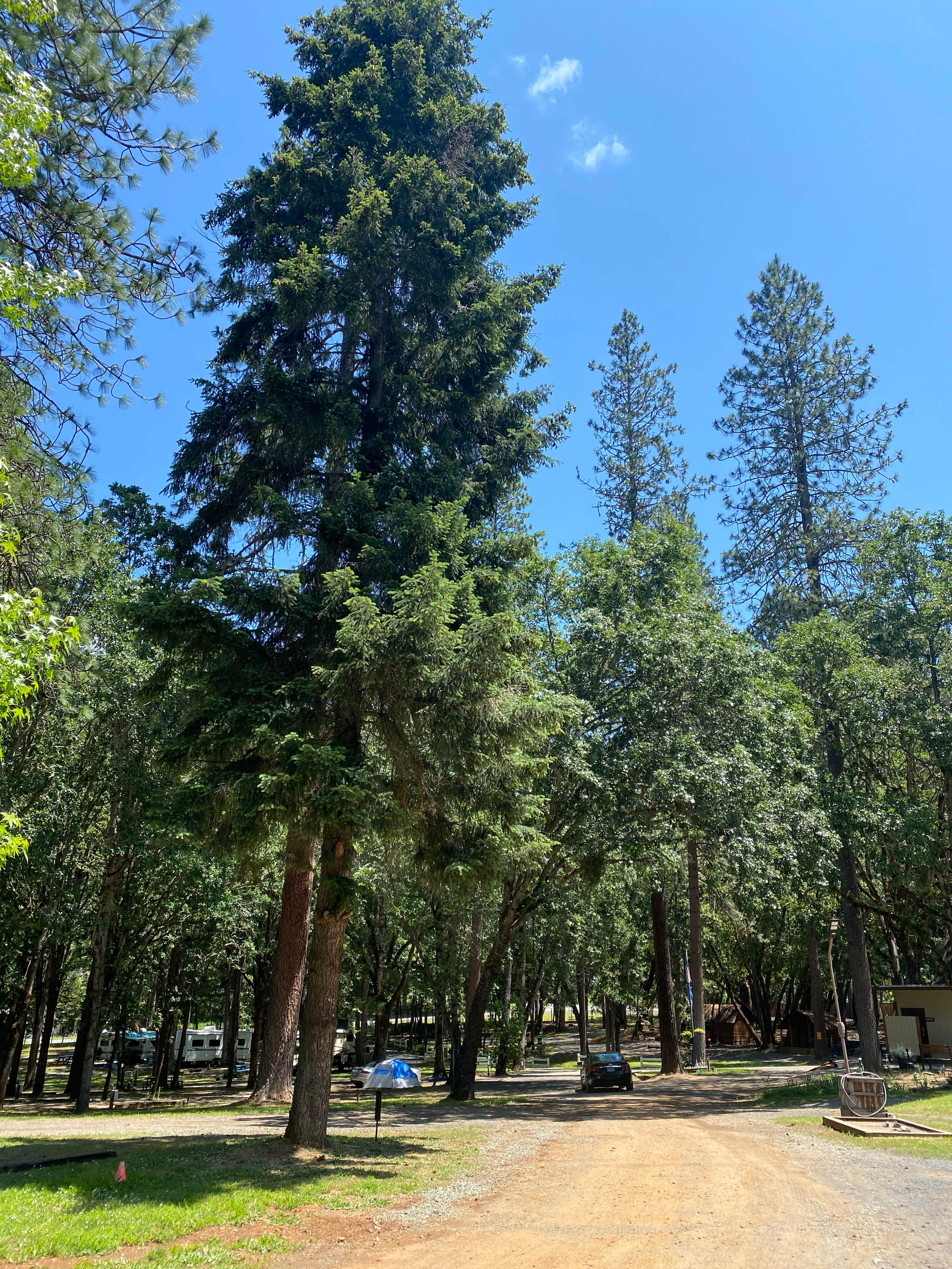 Camper-submitted photo at Sunny Valley Campground near Trail, OR