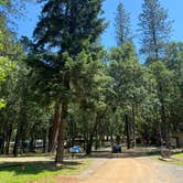 Review photo of Sunny Valley Campground by Travis A., June 19, 2022