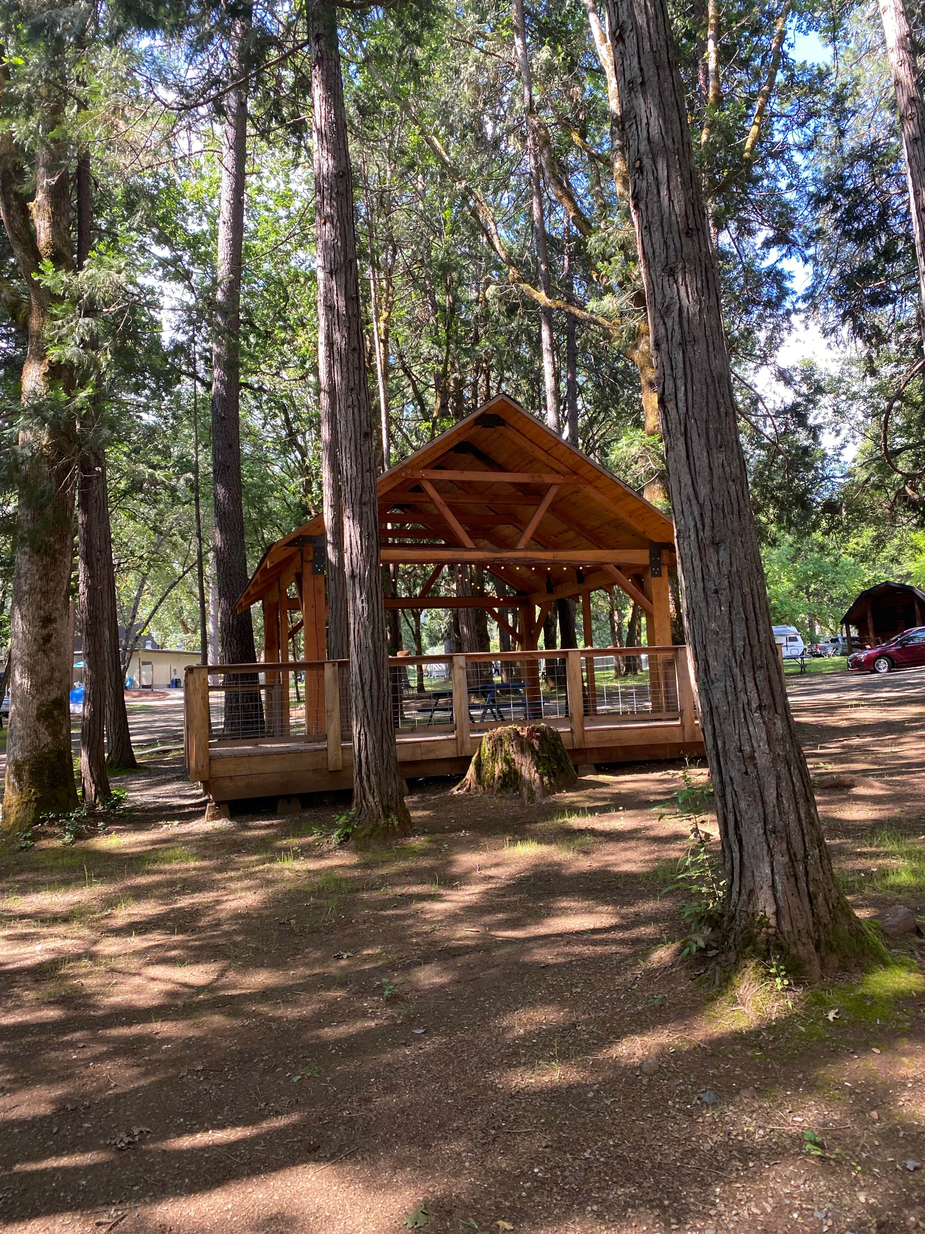 Wilderville - Photo 2