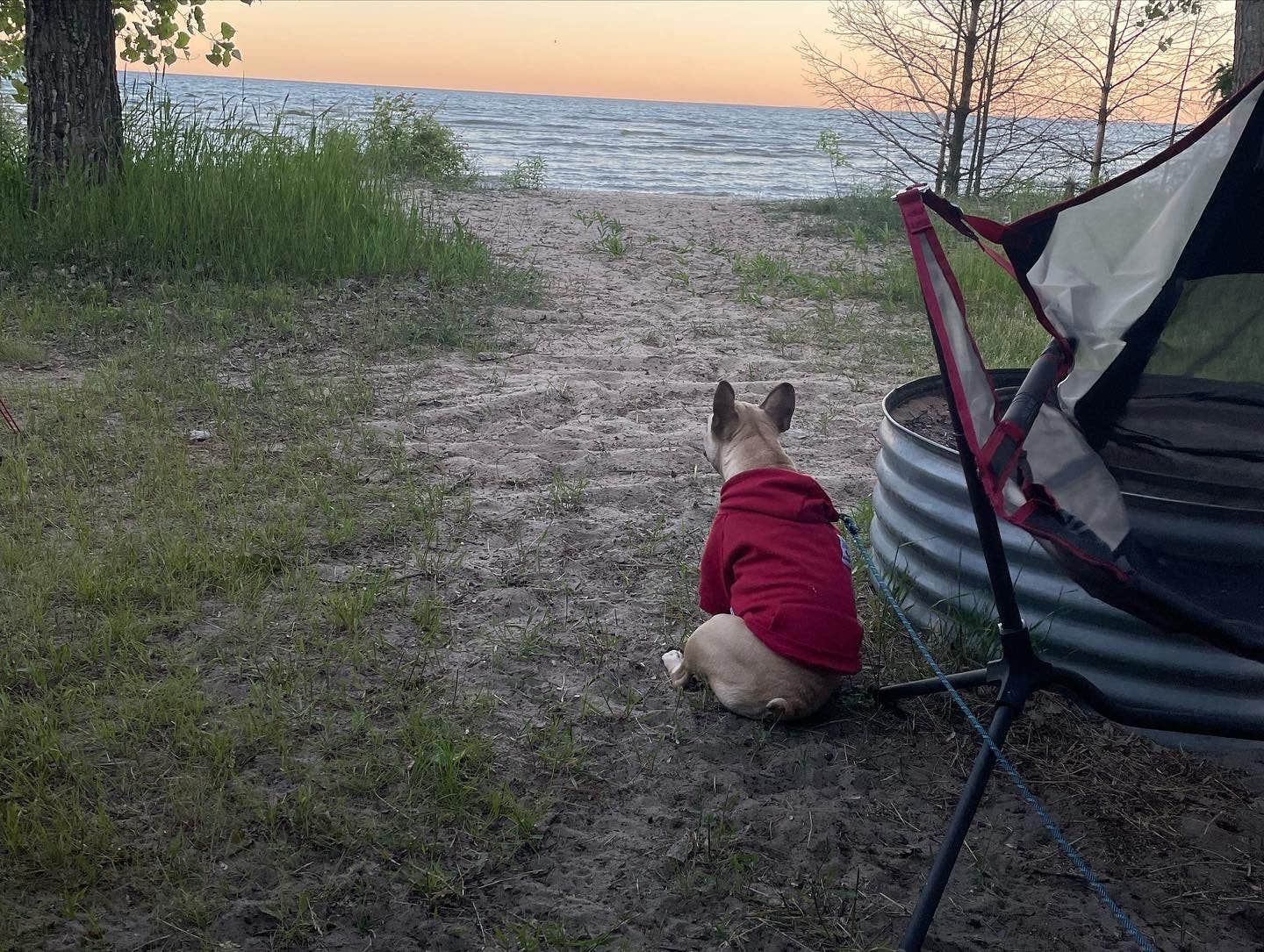 Zachary J.'s photo of camping with pets at Fox County Park Campground near Escanaba, MI