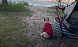 Zachary J.'s photo of camping with pets at Fox County Park Campground near Stephenson, MI